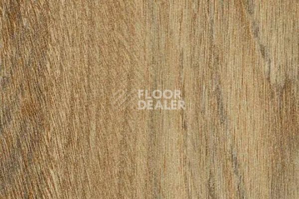 Виниловая плитка ПВХ FORBO Effekta Intense 40225 P Traditional Rustic Oak INT фото 1 | FLOORDEALER